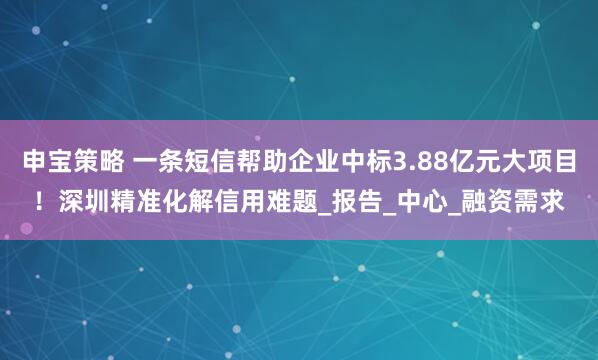 申宝策略 一条短信帮助企业中标3.88亿元大项目！深圳精准化解信用难题_报告_中心_融资需求